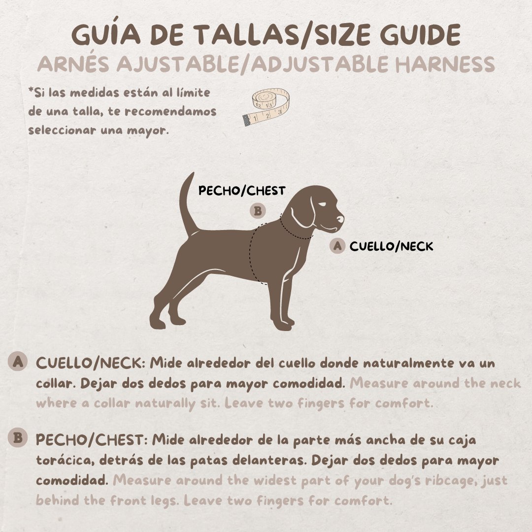 PACK "DOGFLUENCER" Day&Night Ibiza - Huellas de Ibiza