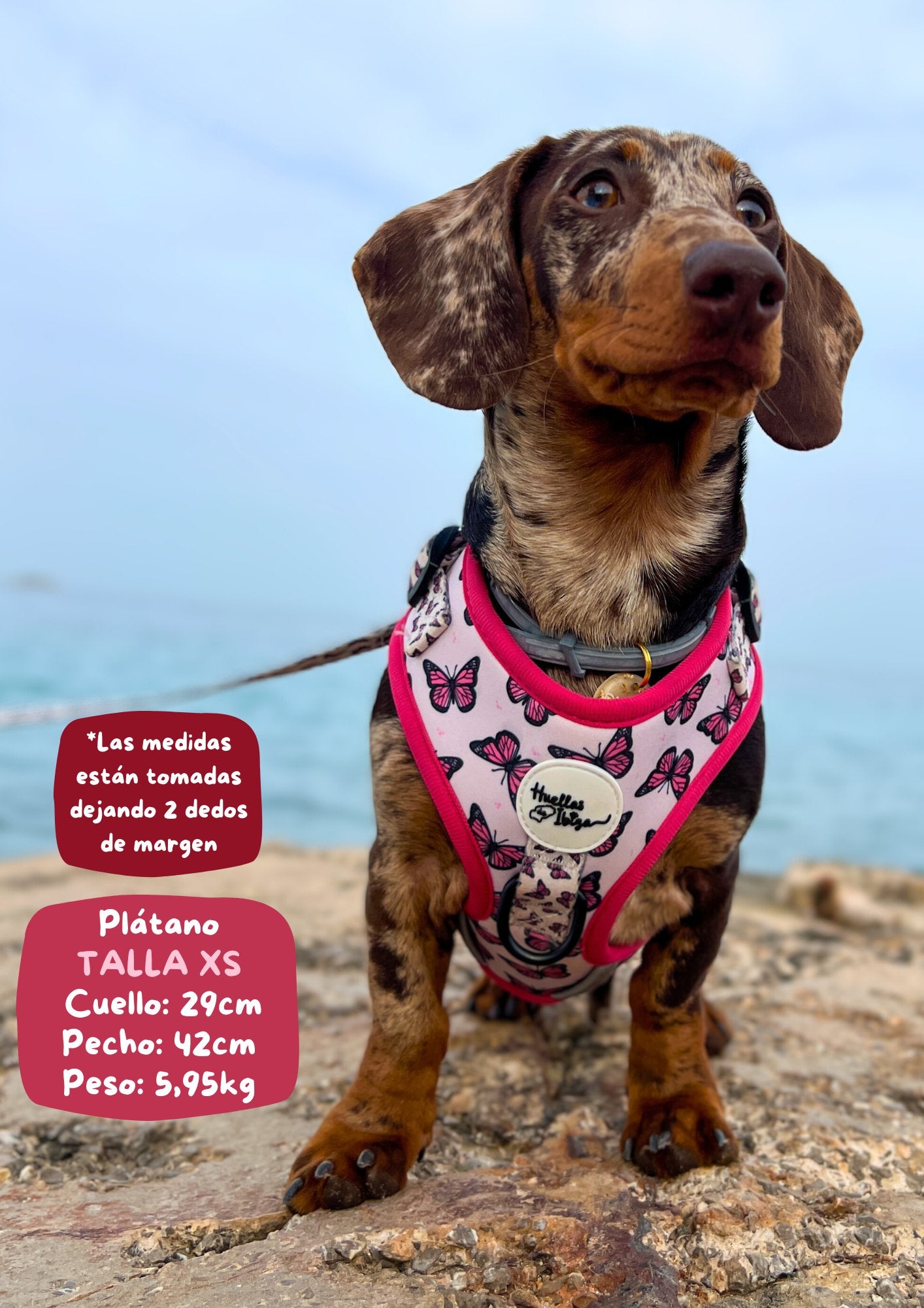 PACK "DOGFLUENCER" Ibiza Essence - Huellas de Ibiza