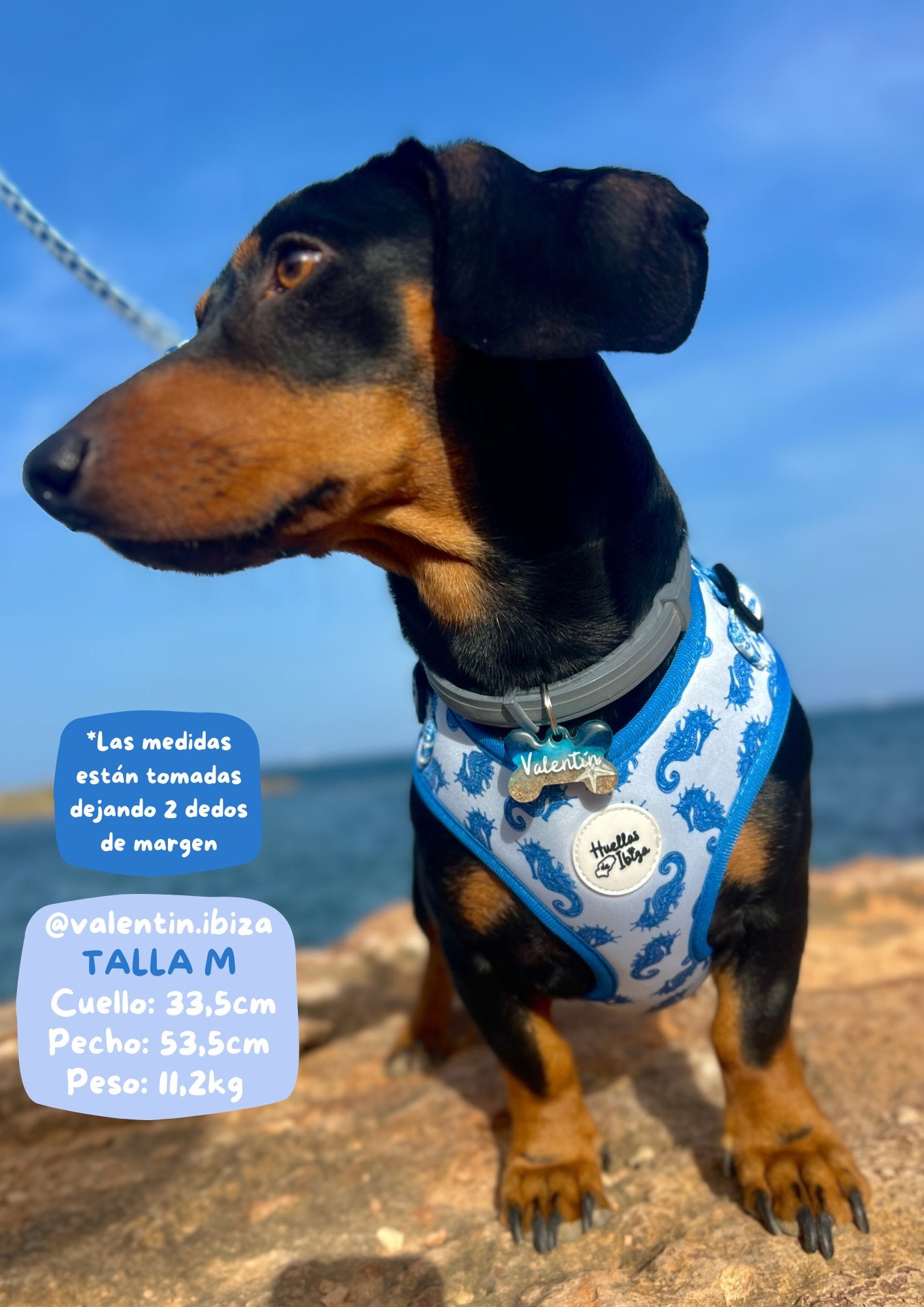 PACK "DOGFLUENCER" Ibiza Sea - Huellas de Ibiza