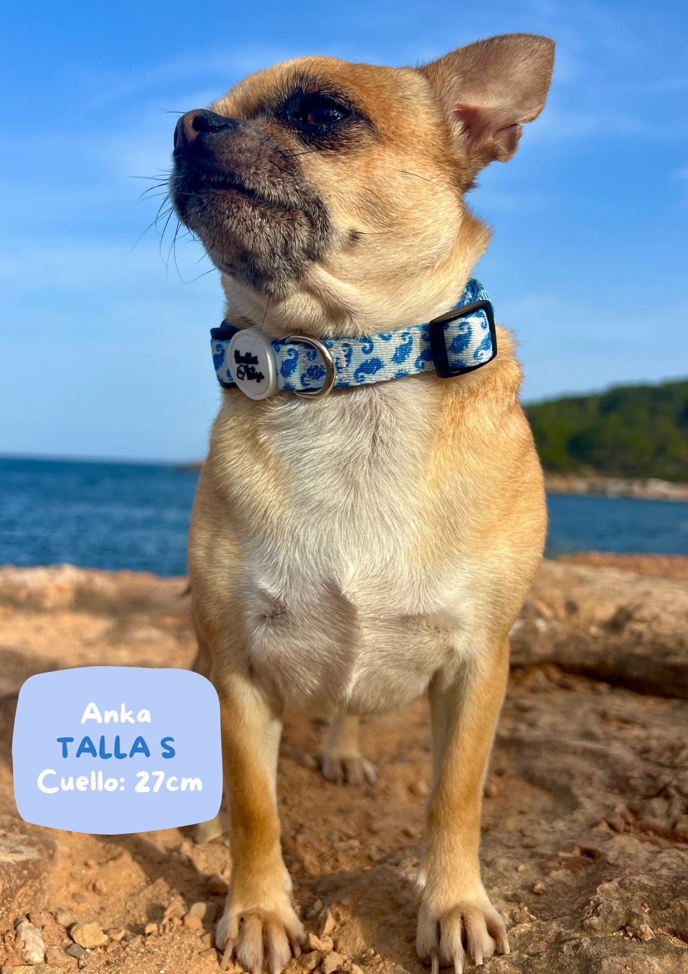 PACK "DOGFLUENCER" Ibiza Sea - Huellas de Ibiza