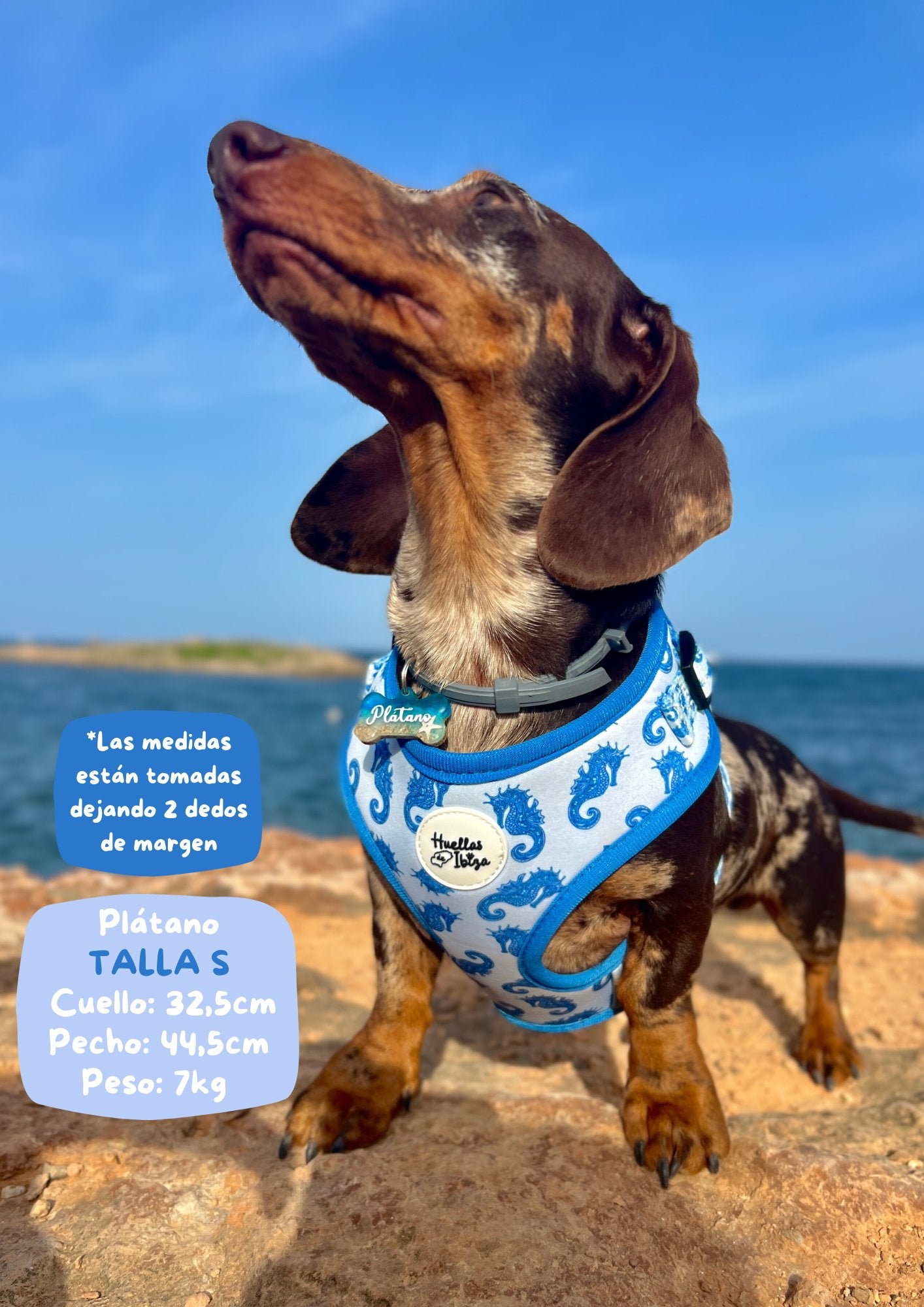 PACK "DOGFLUENCER" Ibiza Sea - Huellas de Ibiza