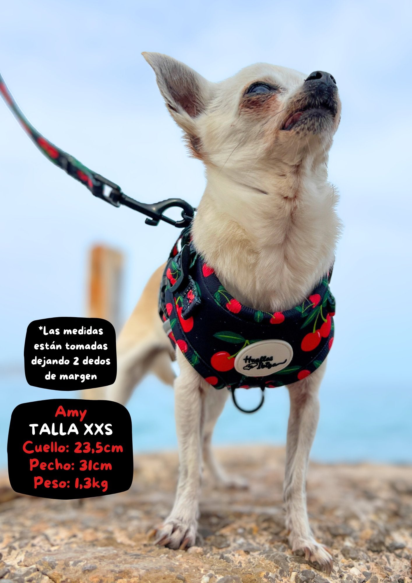 PACK "DOGMODEL" Ibiza Cherries - Huellas de Ibiza